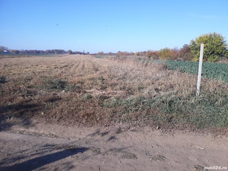 Teren de 150000 mp, în Nord