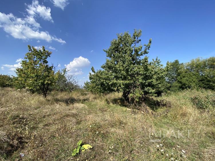 Teren Construcții intravilan de 802 mp, în Făget