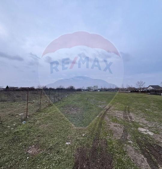 Investiție Sector 5: 2.819 mp | P+2 | Drumul Movila | Sub 100€/mp - 8