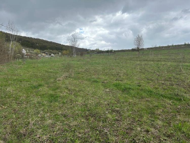 Teren Construcții intravilan de 2300 mp, în Bozeni
