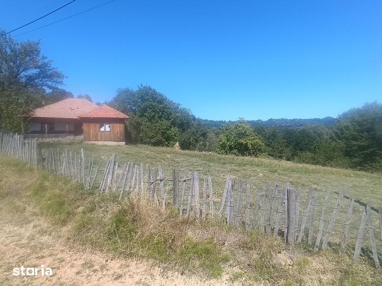 Teren de 10378 mp, în Brebu