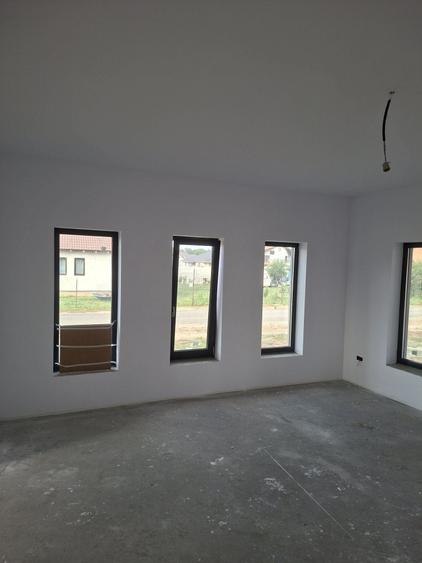 Casă cu 3 camere în Peciu Nou