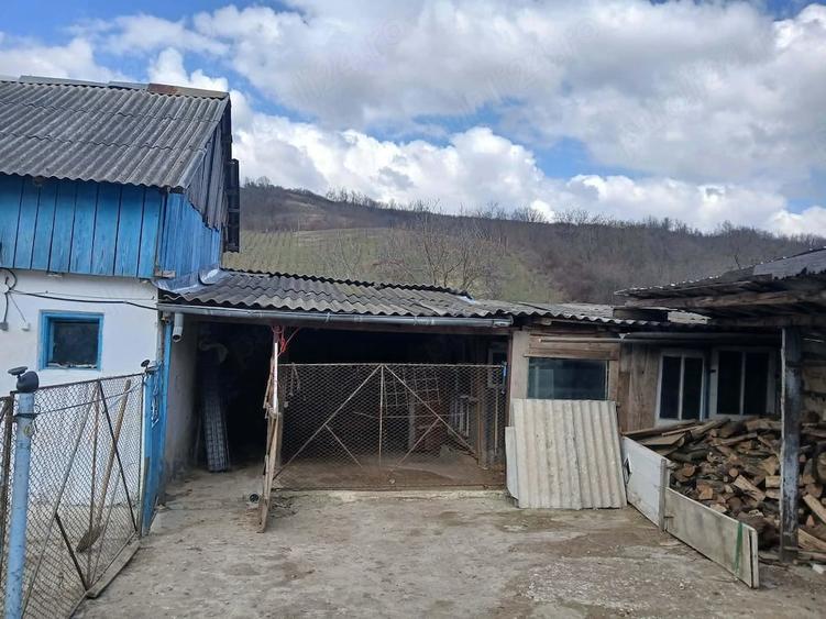 Casă cu Teren 1200 Mp în Central