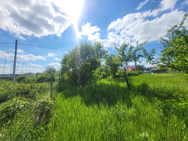 Teren Construcții intravilan de 900 mp, în Bârnova