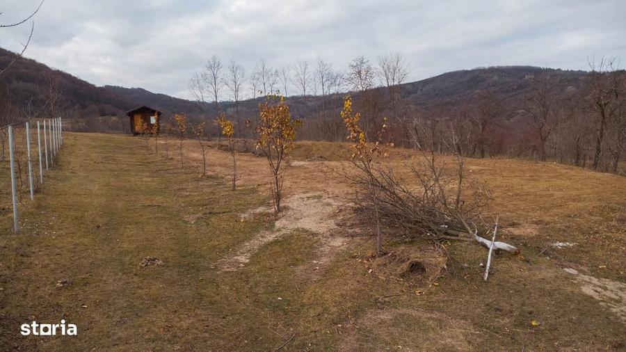 Teren cu suprafa?a de 5100mp amplasat intr-o zona superba de munte - 12