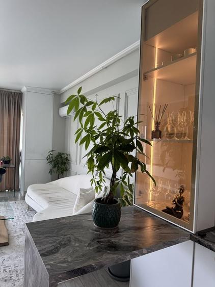 Apartament cu 2 camere în Sârbi