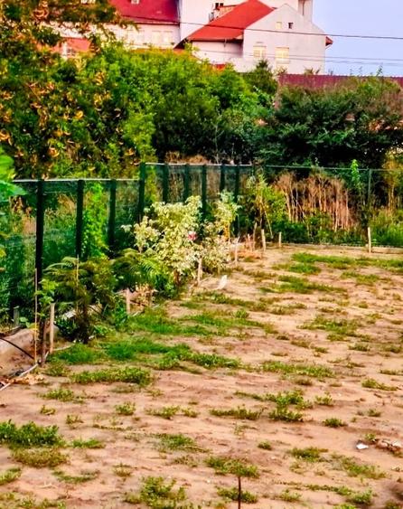 Teren Construcții intravilan de 500 mp, în Sud