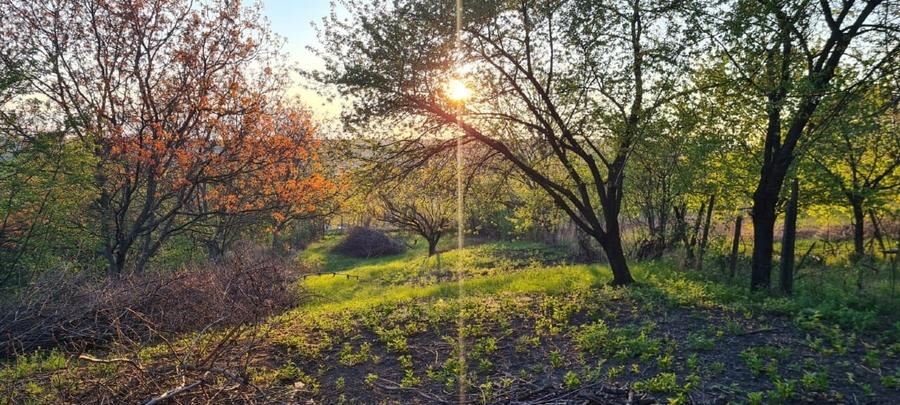 Teren Construcții intravilan de 1451 mp, în Copou