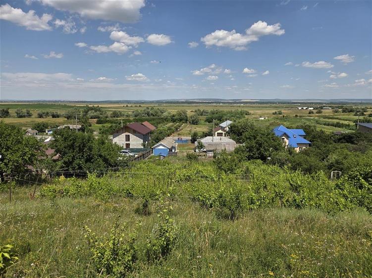 Teren Construcții intravilan de 4800 mp, în Tomești