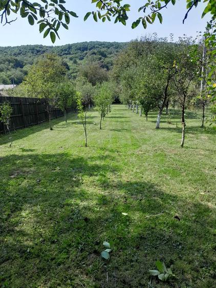 Casă cu 2 camere în Vâlcănești