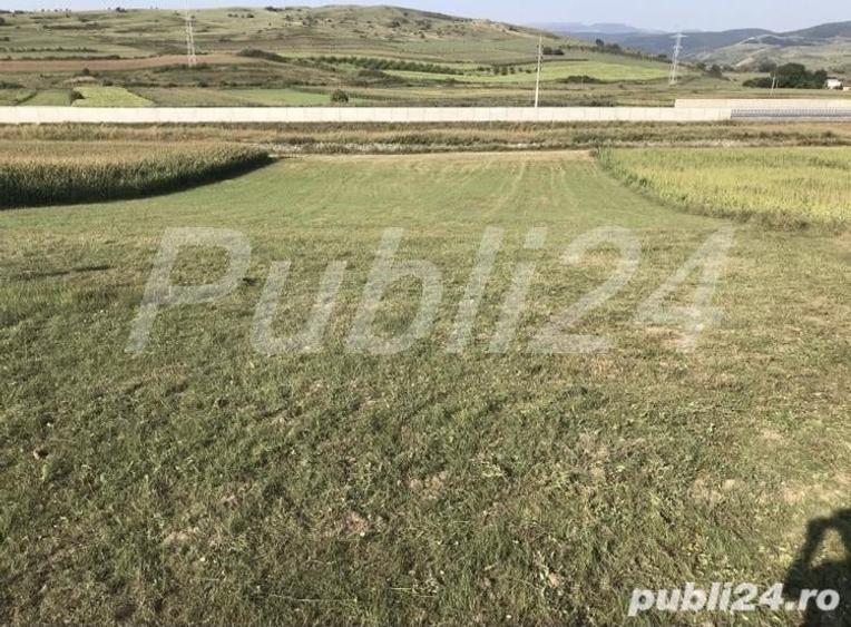 Teren de 5500 mp, în Stejeriș