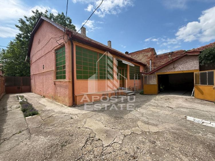 Casă individuală cu 8 camere cu Piscina în Iosefin
