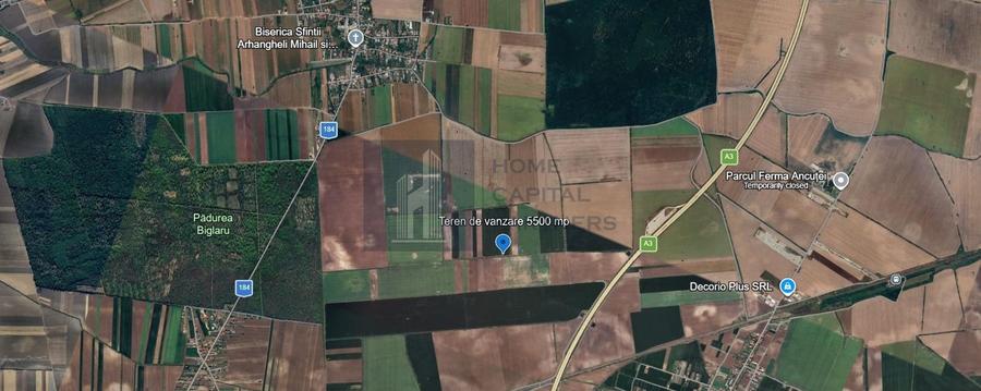 Teren agricol extravilan de 5500 mp, în Moara Vlăsiei