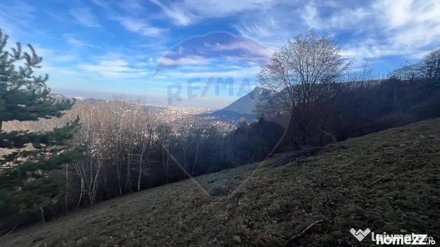 Teren Colinar Panoramic 17.684 mp in Scheii Bra?ovului - 8