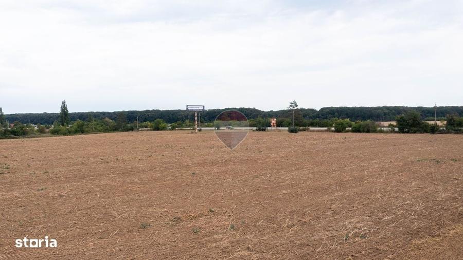Teren intravilan 10.000mp Ciolpani, acces direct din DN1 - 12