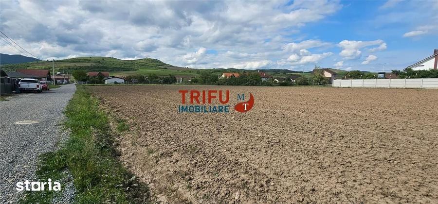 Teren de 2000 mp, în Ighiu