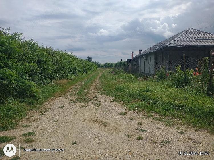Teren de 844 mp, în Lăpuș