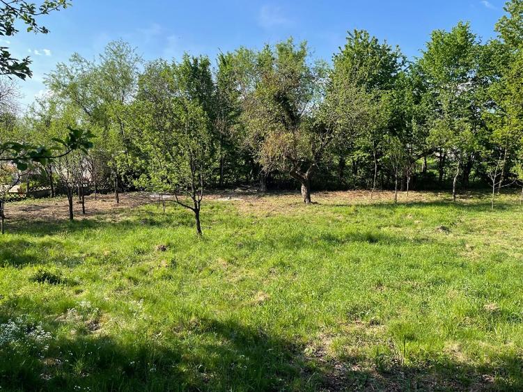 Teren Construcții intravilan de 4657 mp, în Coruia