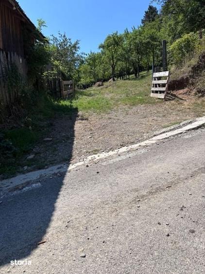 Teren de 5000 mp, în Gârcina