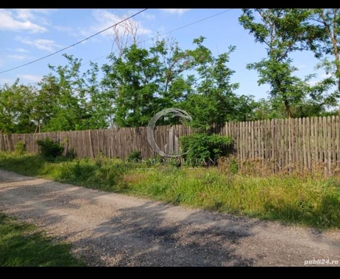 Teren intravilan de 3580 mp, în Călțuna