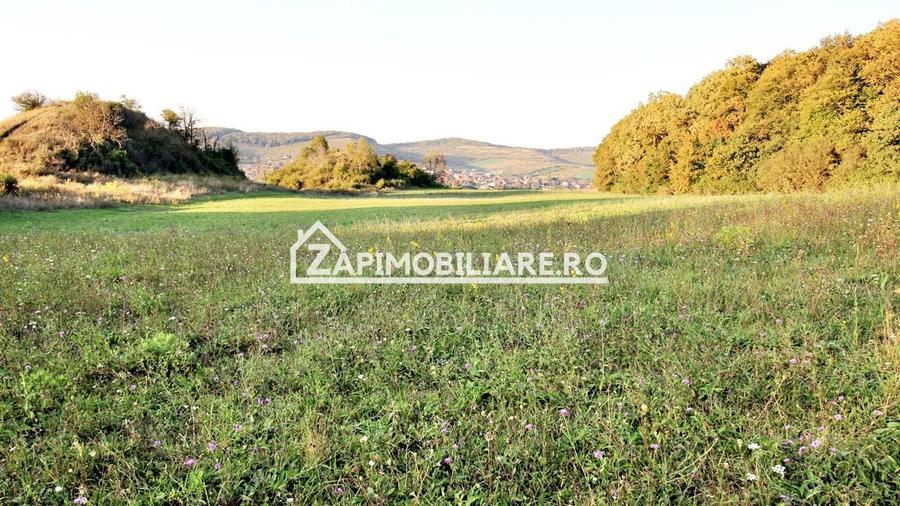 Teren Construcții extravilan de 29759 mp, în Livezeni