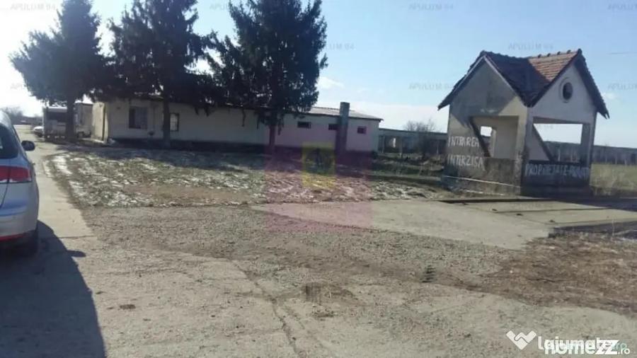 Teren Balotesti- Saftica- ideal pentru constructie locuinte. - 1