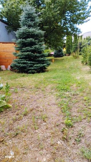 Ocazie! Casa de 300 mp utili, 1000 mp teren, zona Sapte Strazi, Gruia! - 3