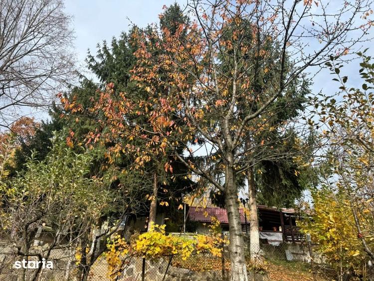 Casă cu 4 camere cu Teren 1527 Mp în Central