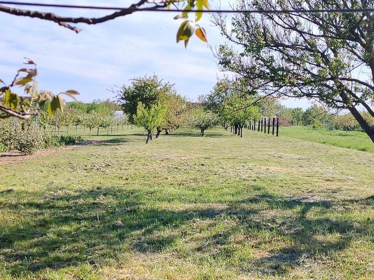 Casă cu 7 camere cu Teren 1895 Mp în Haieu