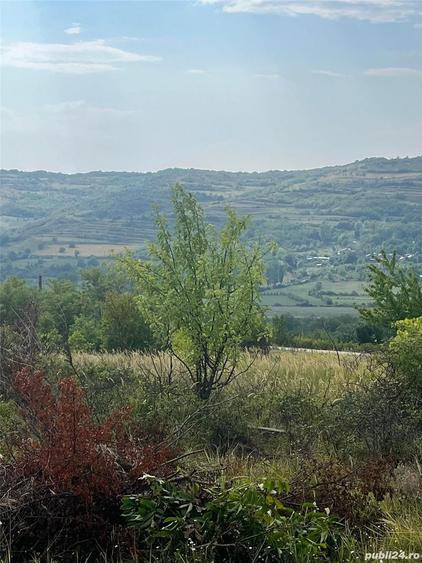 Teren în Central