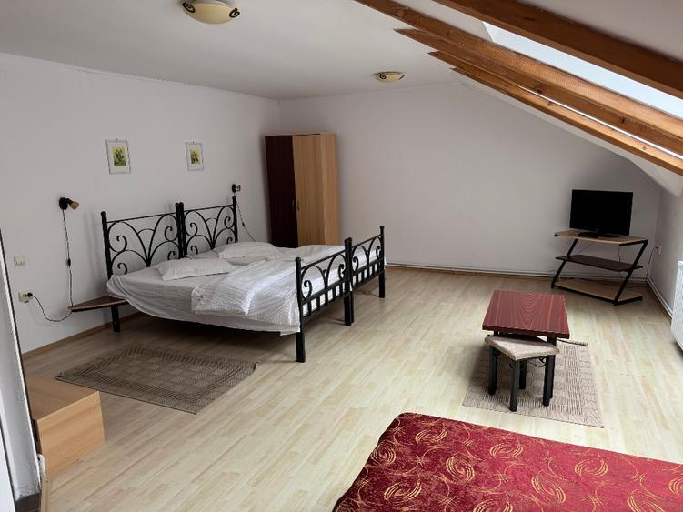 Casă individuală cu 5 camere cu Teren 5200 Mp în Bran