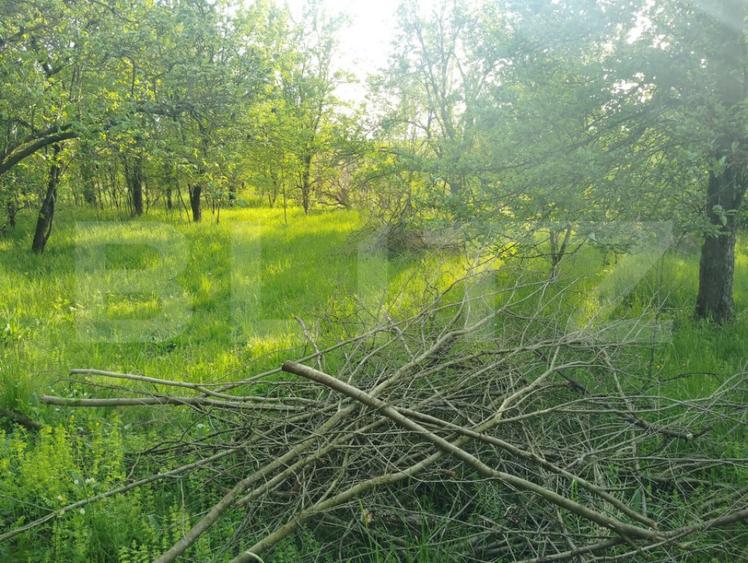 Teren intravilan de 3.317 mp, situat in Simeria Veche, idea - 2