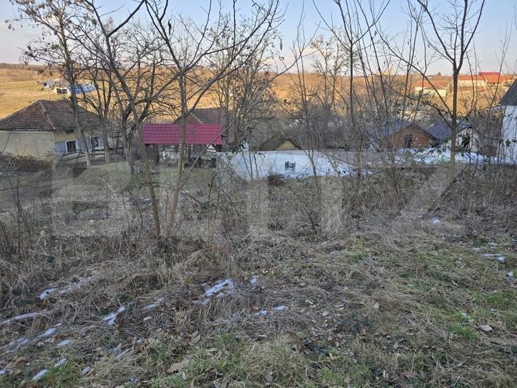 Teren Construcții intravilan de 79000 mp, în Sud