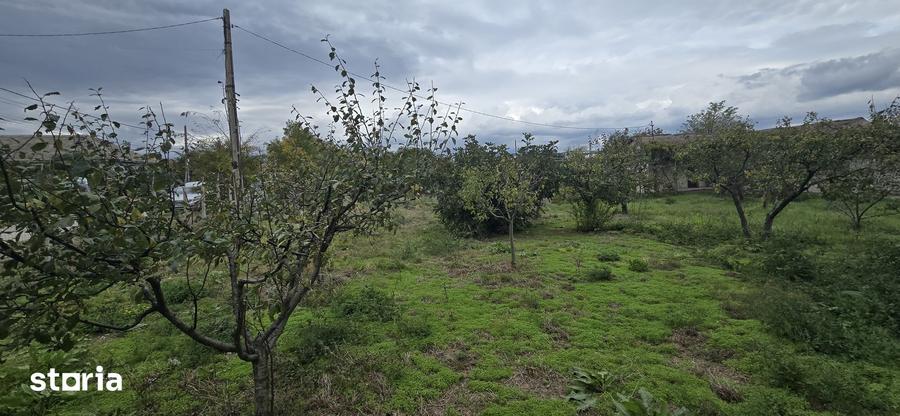 Casă cu 4 camere cu Teren 1917 Mp în Corbu