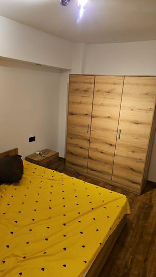 apartament 3 camere GORJULUI - 5