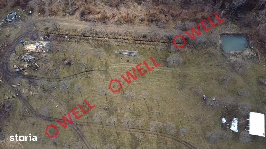 Teren extravilan de 25.274 m2 de vanzare in Calnic, langa padure! - 3
