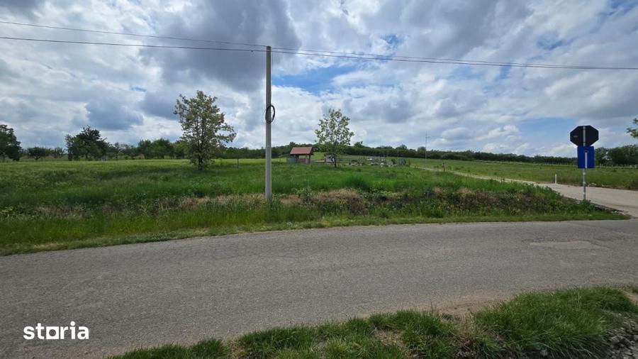 Teren intravilan Ardud Vii Satu Mare - 1