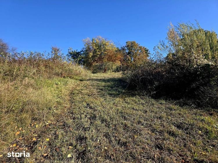 Casă cu 5 camere cu Teren 2700 Mp în Alexandru cel Bun
