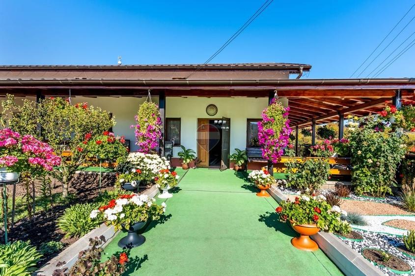 Casă individuală cu 5 camere cu Teren 3971 Mp în Berchieșu