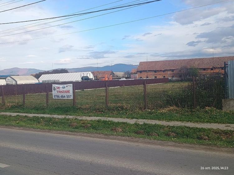 Teren de 1327 mp, în Cărpiniș
