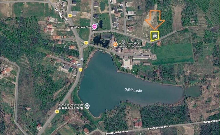 Teren de 1000 mp, în Săldăbagiu de Munte