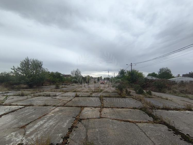 Teren Construcții intravilan de 45500 mp, în Albert