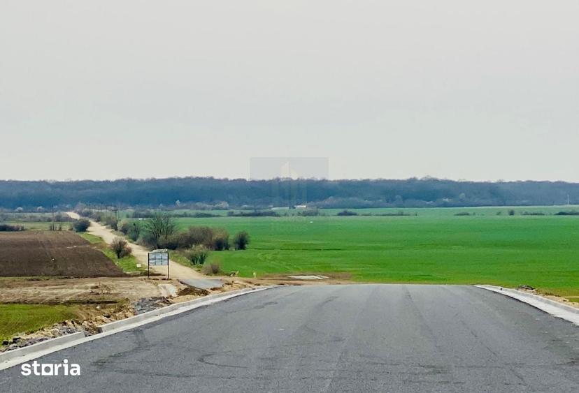 Teren de 20455 mp, în Ciorogârla