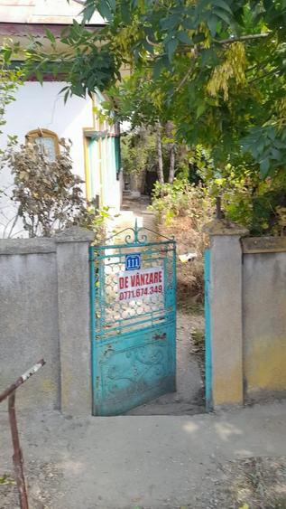 Casă cu Teren 3000 Mp în Vânători