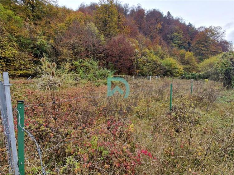 Teren intravilan de 500 mp, în Baciu