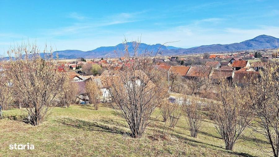 Spațiu comercial, în Tohanu Nou