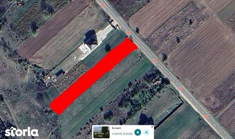 Vand teren intravilan Bucsani (Giurgiu) - 1600 mp - 3