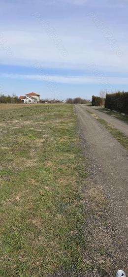 Teren de 1235 mp, în Brăniștari
