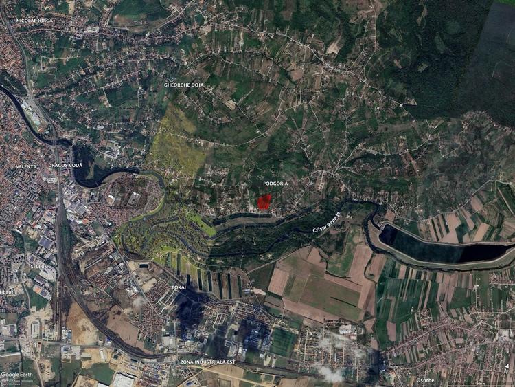 Teren Construcții intravilan de 21670 mp, în Podgoria