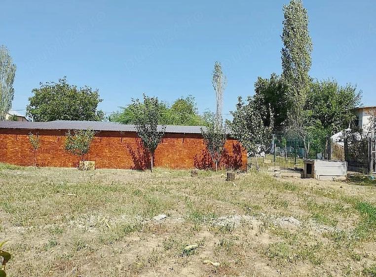Teren de 2000 mp, în Curtișoara